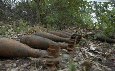 Geniștii militari la datorie: 45 de obiecte explozive și 500 cartușe depistate în luna iulie
